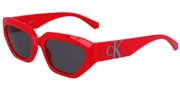 Покупка или увеличение этой картинки, Calvin Klein Jeans CKJ23652S-600.