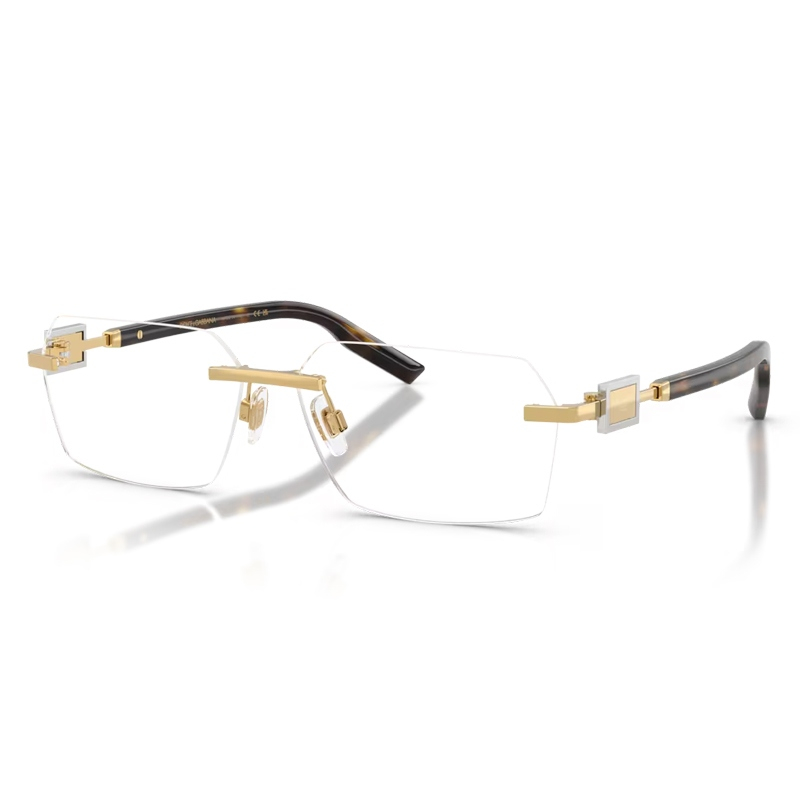 DOLCE E GABBANA 0DG1361-02