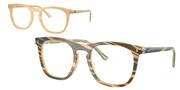 Ray Ban 0RX2210V-8383