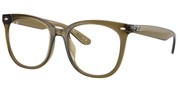 Ray Ban 0RX4379VD-8445