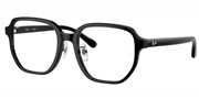 Ray Ban 0RX5424D-2000