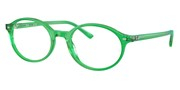 Покупка или увеличение этой картинки, Ray Ban 0RX5429-8441.