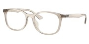 Покупка или увеличение этой картинки, Ray Ban 0RX7093D-8271.