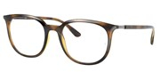 Ray Ban 0RX7190-2012