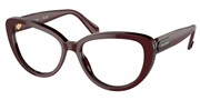Покупка или увеличение этой картинки, Swarovski Eyewear 0SK2014-1019.