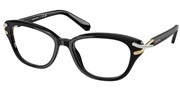 Swarovski Eyewear 0SK2032-1001