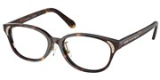 Swarovski Eyewear 0SK2040D-1002