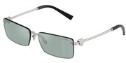Покупка или увеличение этой картинки, Tiffany 0TF3108B-62227C.